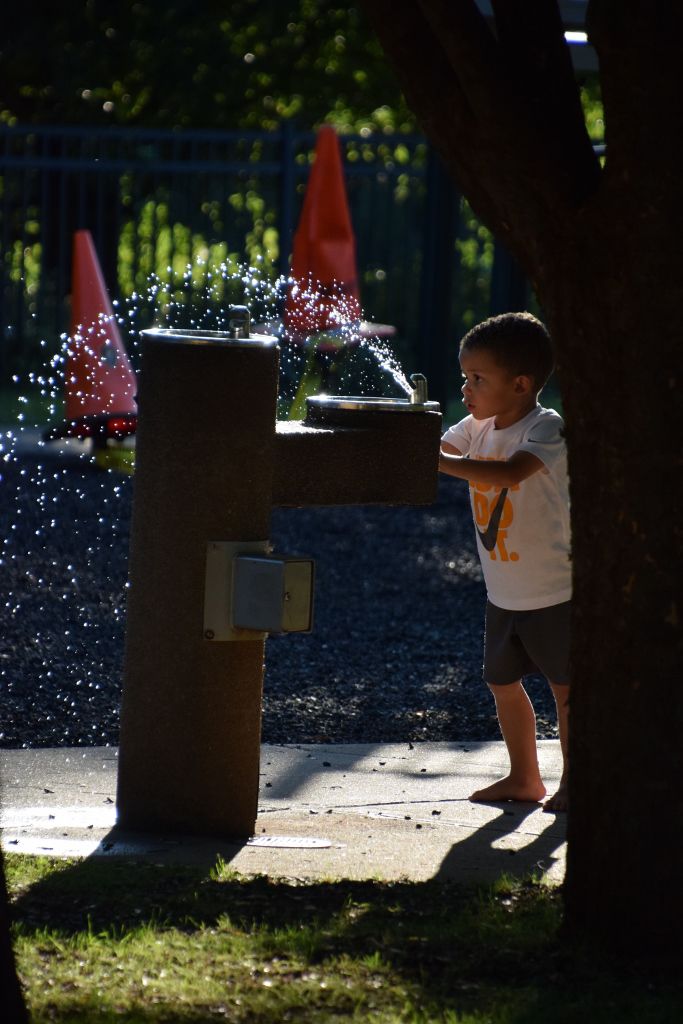 flowers and marthas fountain8-19 093 (683x1024).jpg